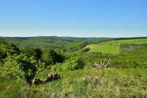 Free photo spring landscape in the czech republic. europe. forest and blue sky.