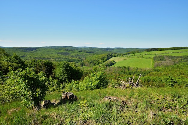 Free Photo spring landscape in the czech republic. europe. forest and blue sky.