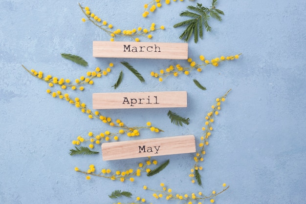 Free Photo spring months and flowers branches