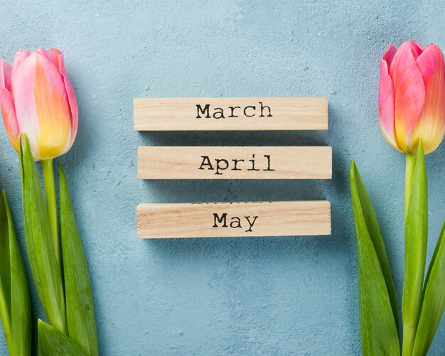 Free Photo spring months tags with tulips