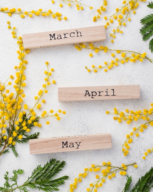 Free Photo spring months with flowers branches