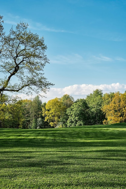 Free Photo spring park freshly cut lawn vertical frame background or wallpaper idea