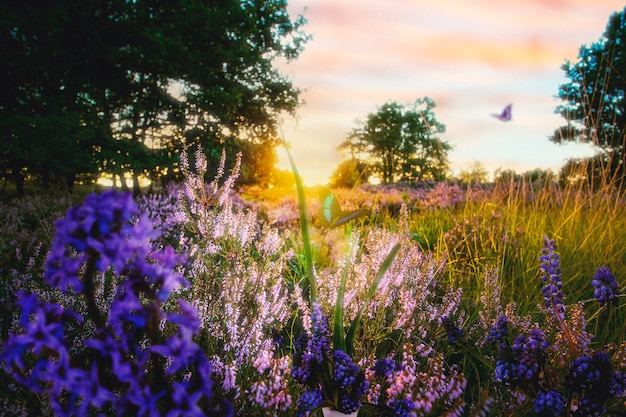 Free photo spring scene with flowers and butterfly