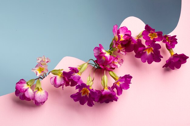 Spring wallpaper with small flowers high angle