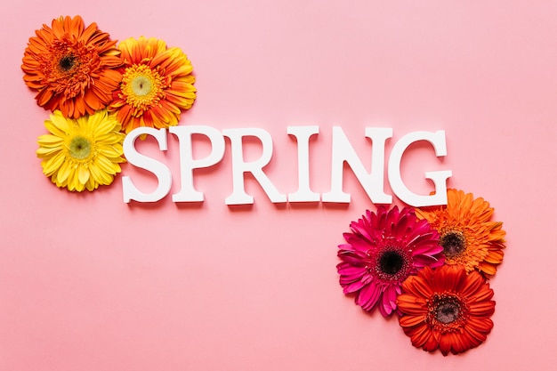 Free photo spring word and different bright blooms