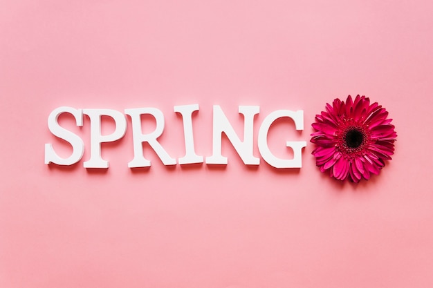 Free photo spring word and purple flower