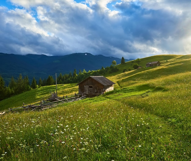 Free Photo springtime in the alps