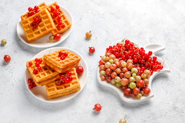 Square belgian waffles with loquat fruits and honey.