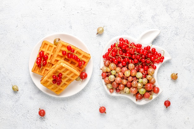 Square belgian waffles with loquat fruits and honey.