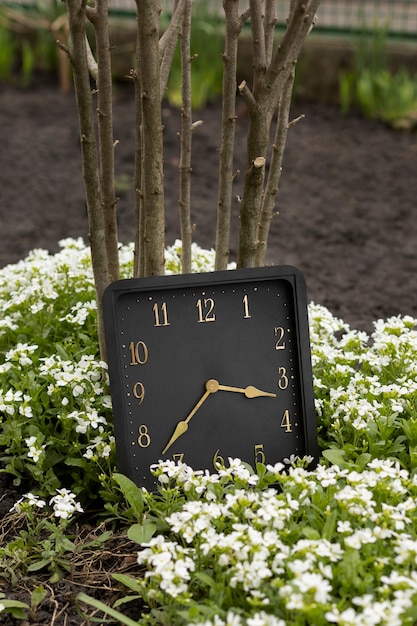 Square clock outdoors still life