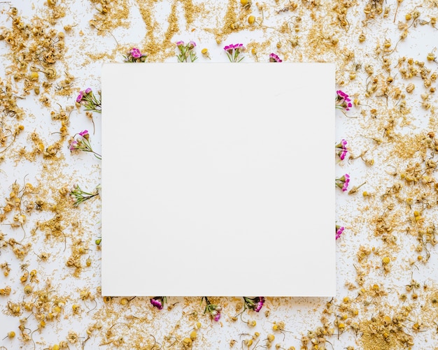 Free Photo square paper sheet on flowers