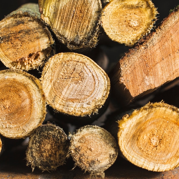 Free Photo stack of dry logs