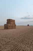 Free photo a stack of hay in a field