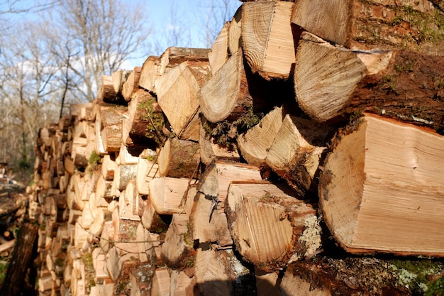 Stack of a lot of chopped firewood ready for the cold winter