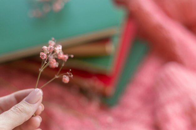 A stack of red and green books with dry flowers on a pink warm knitted sweater 