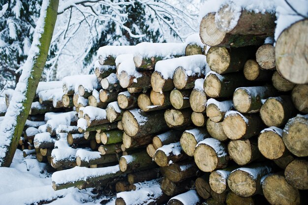 Stack of wood chunks covered with snow Winter