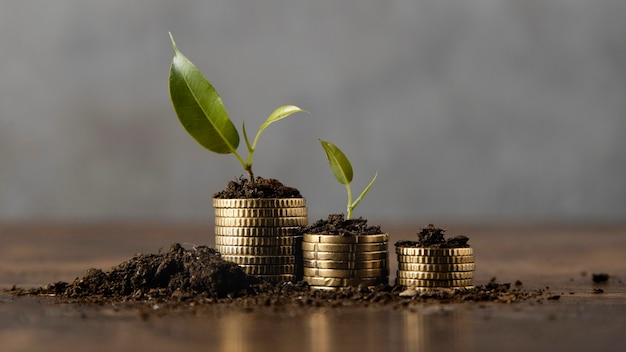 Free photo stacked coins with dirt and plant