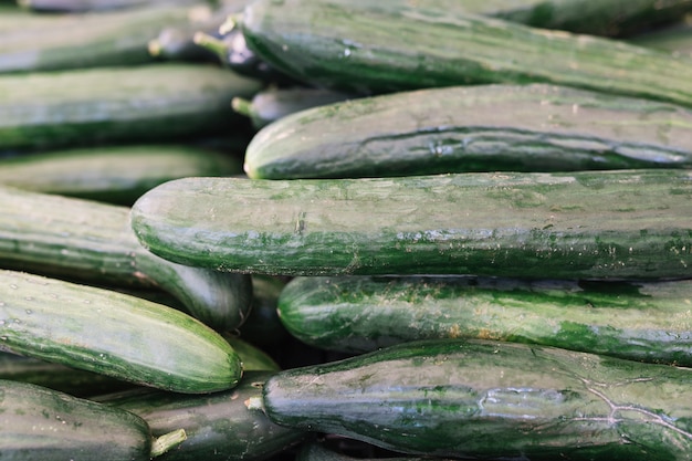 Free photo stacked of harvested cucumber