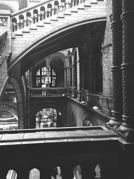 Free Photo stairways and corridors in black and white