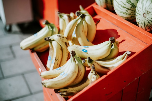 Free Photo stall of bundles of bananas for sale