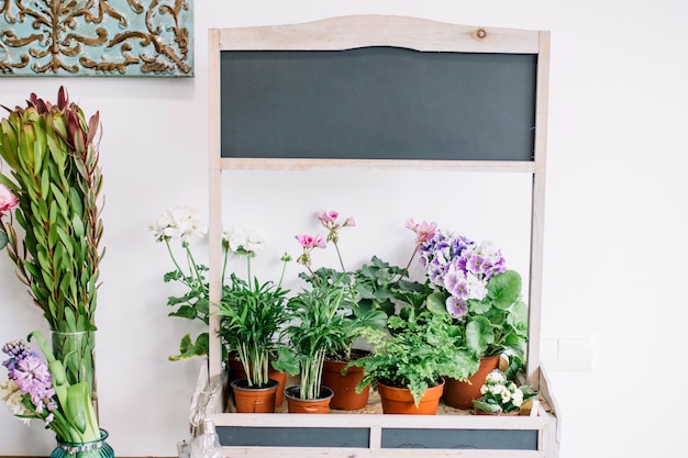 Stall with potted flowers