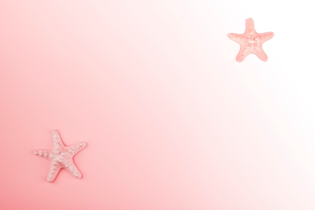 Free photo starfish on the corner of the pink gradient background