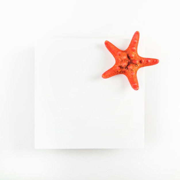 Free photo starfish on paper sheet