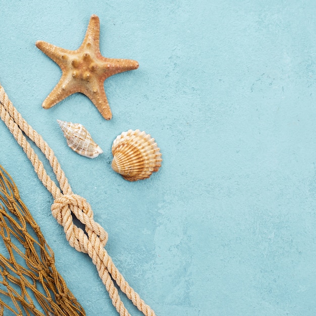 Free photo starfish and shells with copy-space