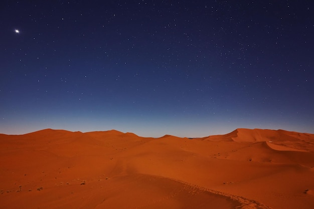 Free photo stars at night over the dunes sahara desert morocco