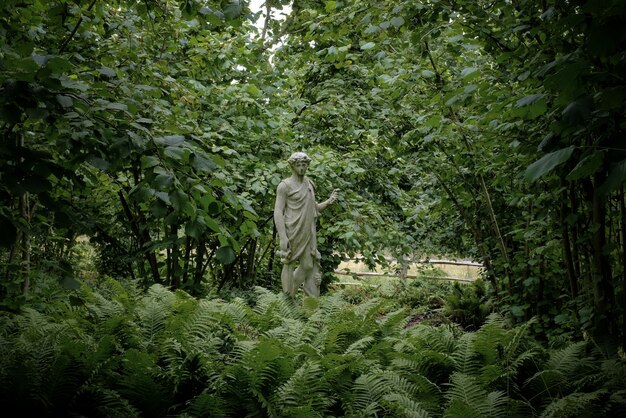 Statue in a natural park