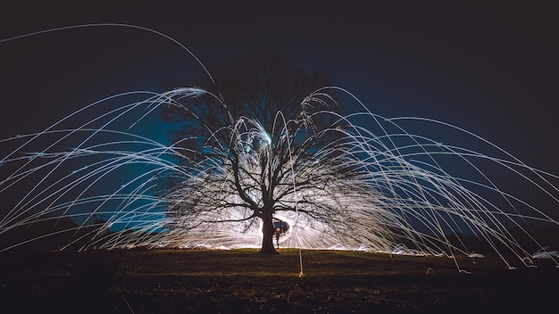 Free photo steel wool spinning above the ground near a tree during the night