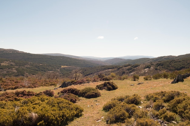 Steppe countryside