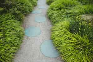 Free photo stepping stone garden path