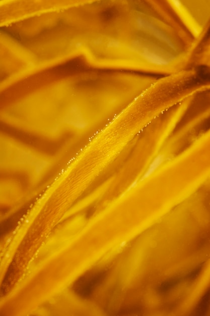 Free Photo still life of algae details