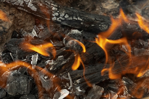 Still life of ashes with charcoal