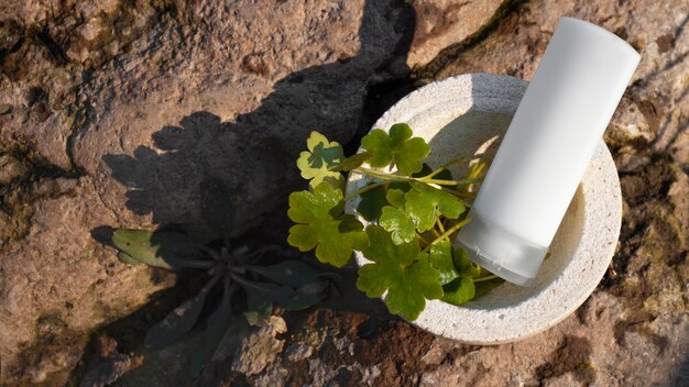 Still life of beauty products based on regenerative agriculture