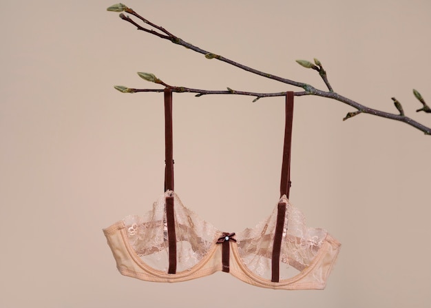 Still life of bra lingerie