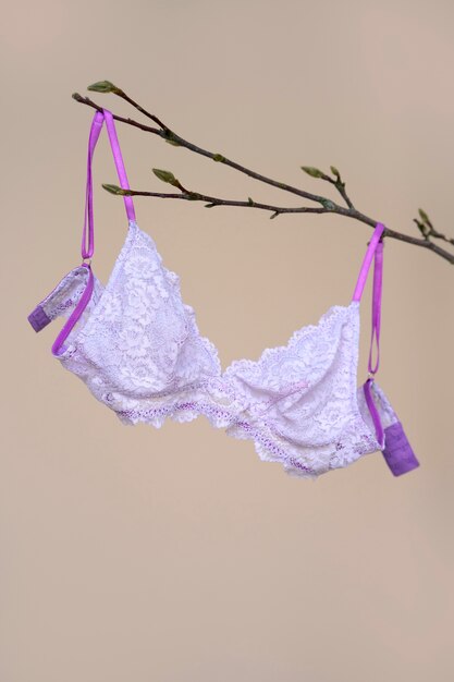 Still life of bra lingerie