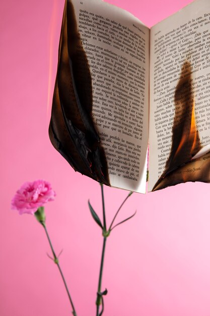 Still life of burnt paper with carnation flower