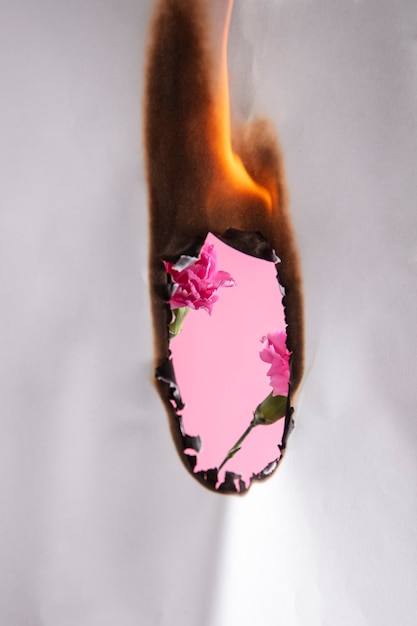 Free photo still life of burnt paper with carnation flower