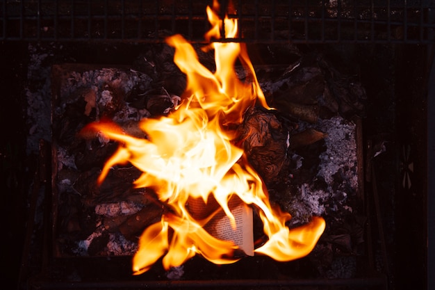 Free Photo still life of burnt paper with flames