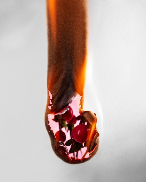 Free Photo still life of burnt paper with rose flower