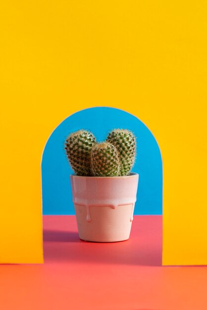 Still life of cactus plant