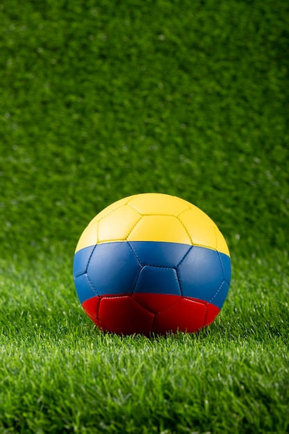 Free photo still life of colombian national soccer team