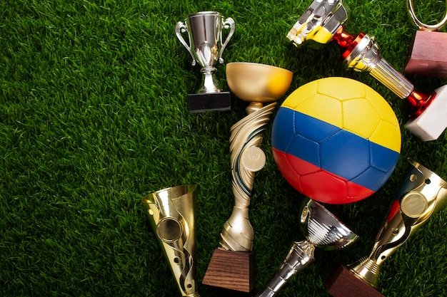 Free photo still life of colombian national soccer team