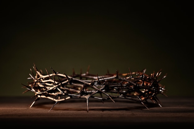 Still life of crown of thorns