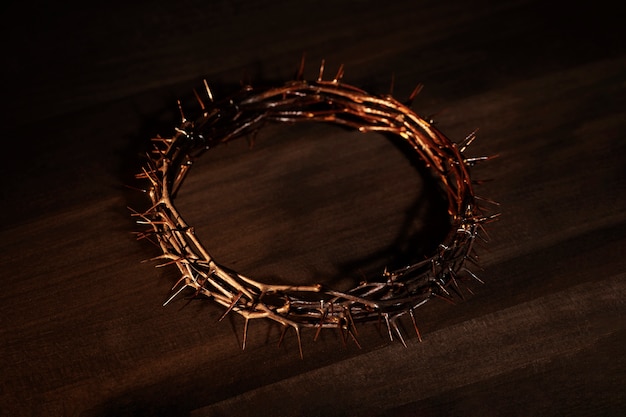 Free photo still life of crown of thorns