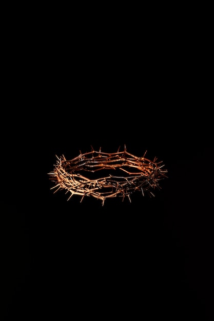 Still life of crown of thorns