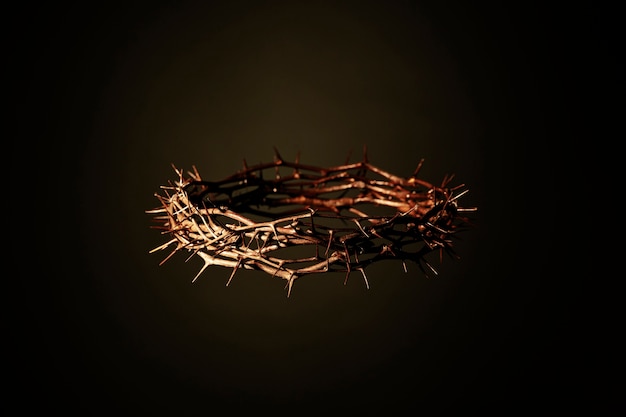 Still life of crown of thorns