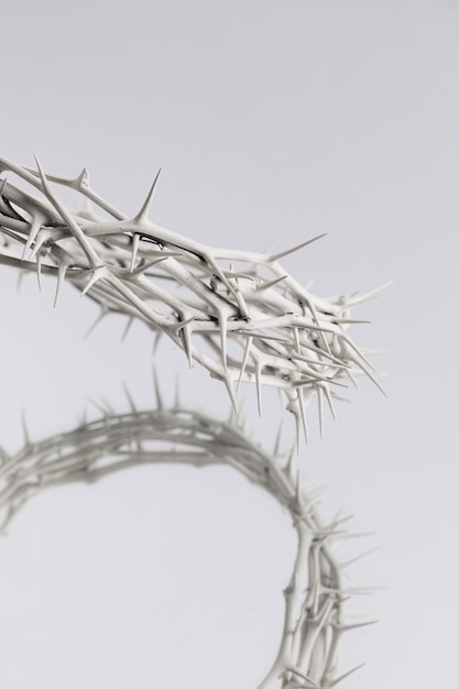 Free photo still life of crown of thorns